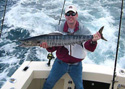 Catch & Release - White Marlin caught while fishing off Miami Beach