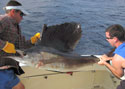 Double header Sails on fishing charter, #1