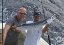 A Barracuda caught on a fishing charter aboard Old Hat.